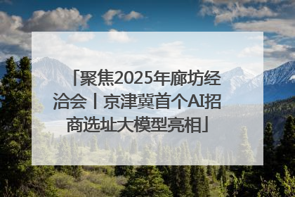 聚焦2025年廊坊经洽会丨京津冀首个AI招商选址大模型亮相